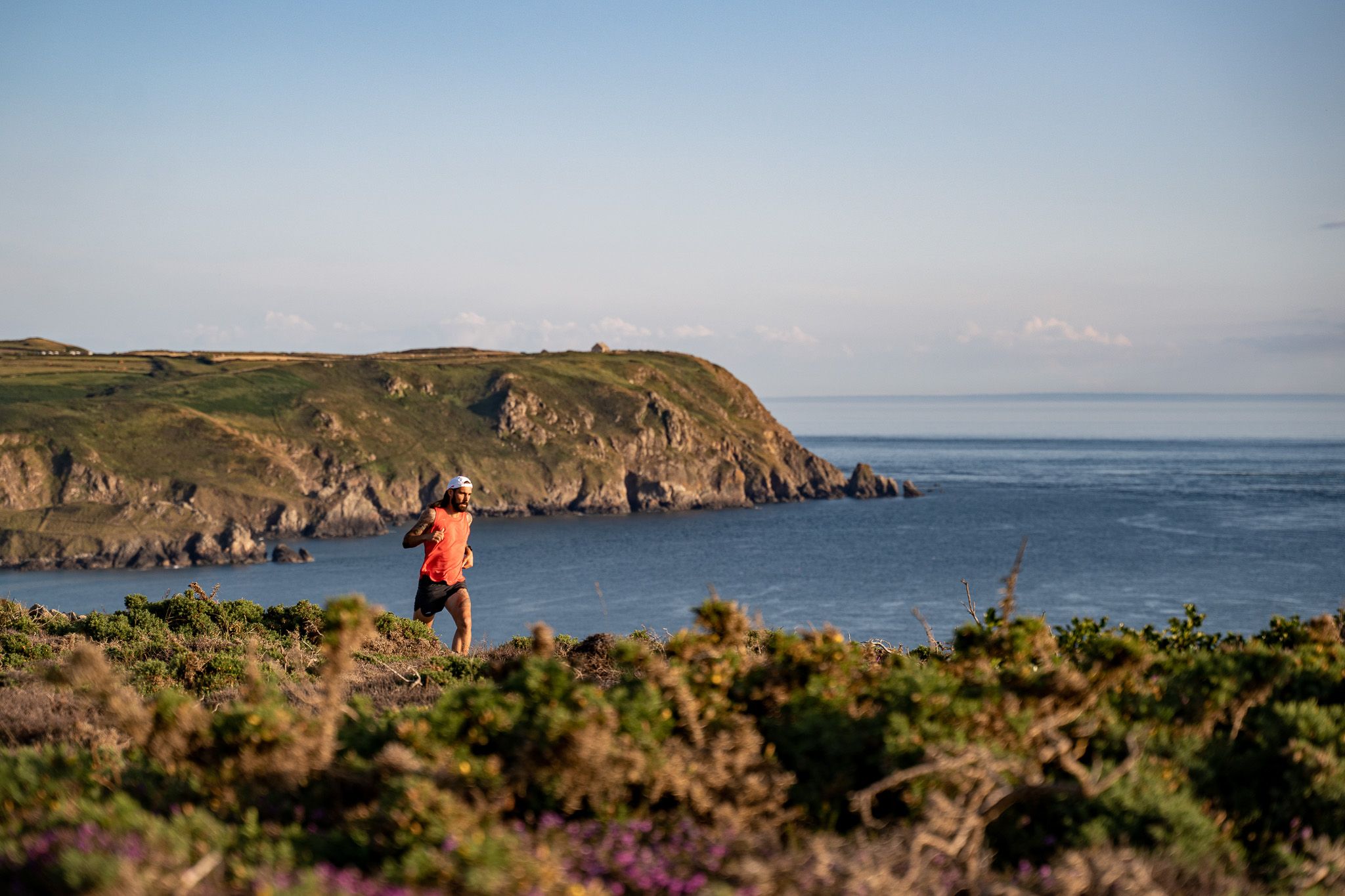 Cotentin